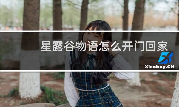星露谷物语怎么开门回家