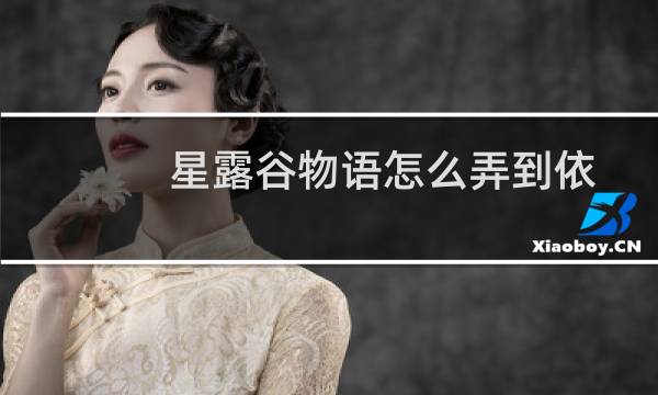 星露谷物语怎么弄到依