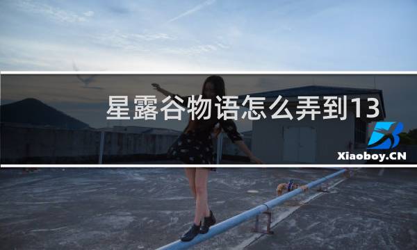 星露谷物语怎么弄到13