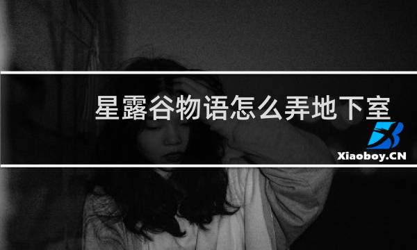 星露谷物语怎么弄地下室