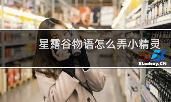 星露谷物语怎么弄小精灵