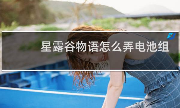 星露谷物语怎么弄电池组