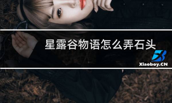 星露谷物语怎么弄石头