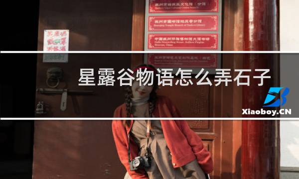 星露谷物语怎么弄石子