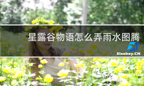 星露谷物语怎么弄雨水图腾