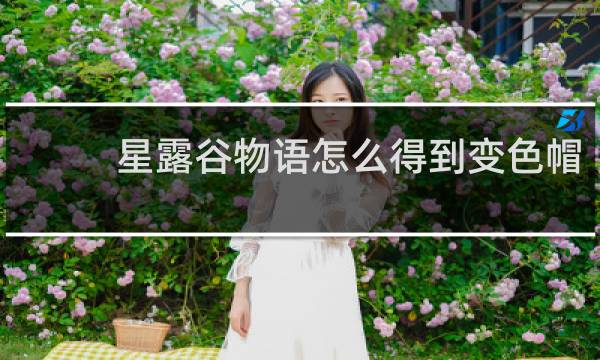 星露谷物语怎么得到变色帽