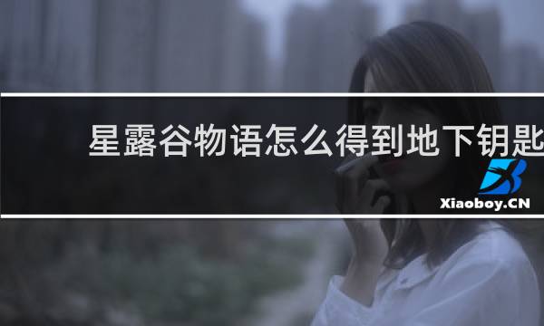 星露谷物语怎么得到地下钥匙