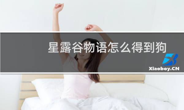 星露谷物语怎么得到狗