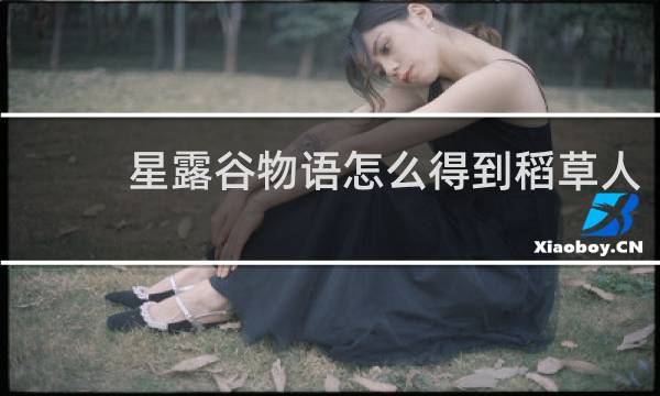 星露谷物语怎么得到稻草人