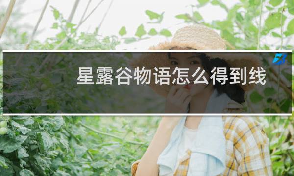 星露谷物语怎么得到线