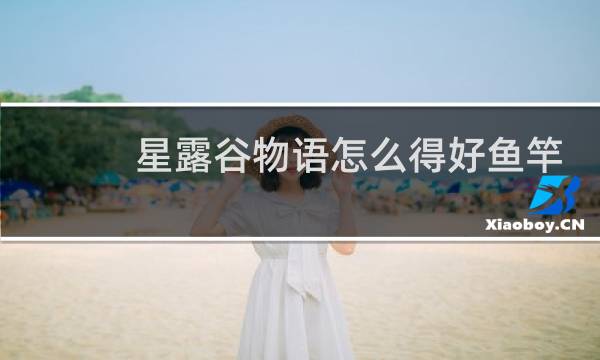 星露谷物语怎么得好鱼竿