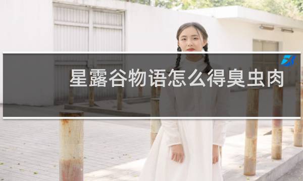 星露谷物语怎么得臭虫肉