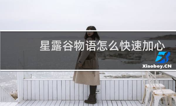 星露谷物语怎么快速加心