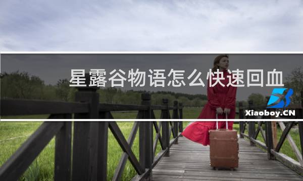 星露谷物语怎么快速回血