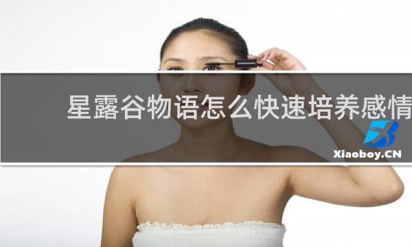 星露谷物语怎么快速培养感情