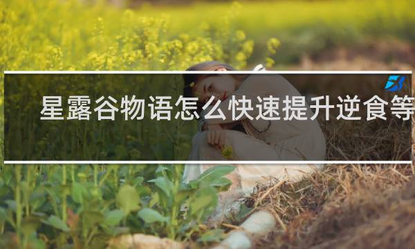 星露谷物语怎么快速提升逆食等级