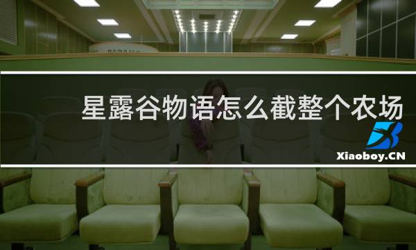 星露谷物语怎么截整个农场