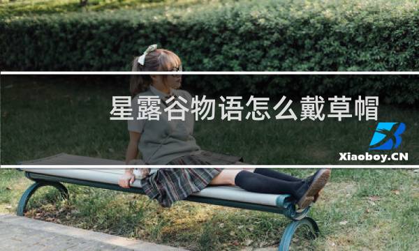 星露谷物语怎么戴草帽