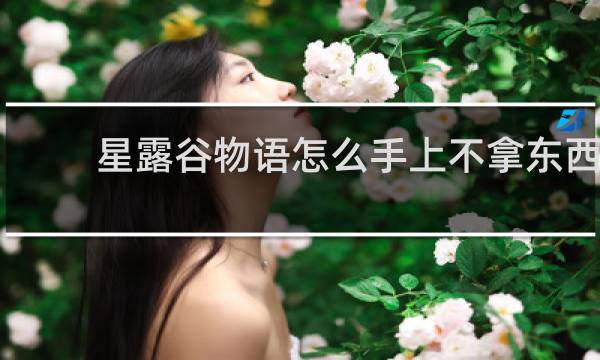 星露谷物语怎么手上不拿东西