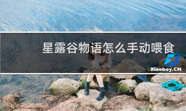 星露谷物语怎么手动喂食