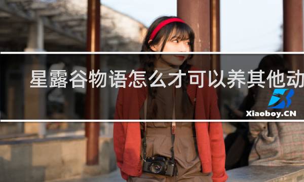 星露谷物语怎么才可以养其他动物