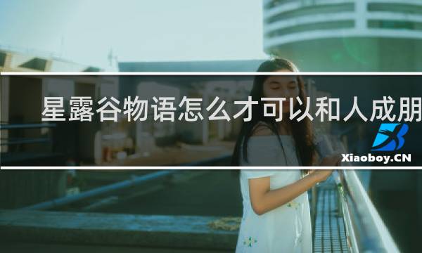 星露谷物语怎么才可以和人成朋友