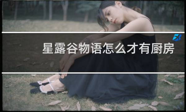 星露谷物语怎么才有厨房