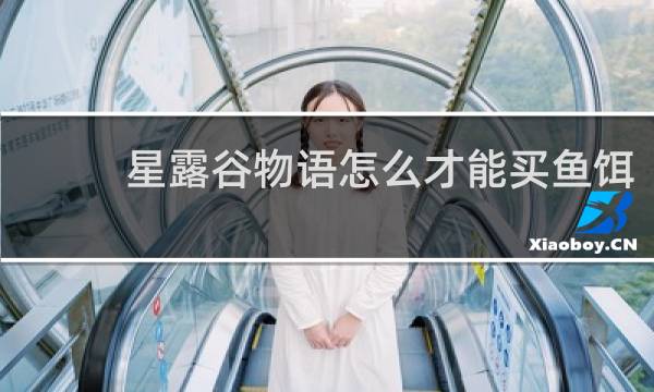 星露谷物语怎么才能买鱼饵