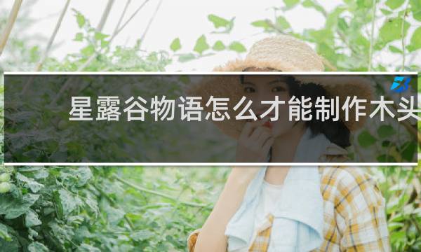 星露谷物语怎么才能制作木头