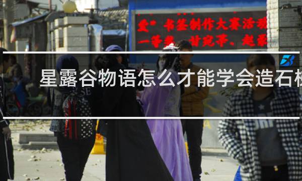 星露谷物语怎么才能学会造石梯