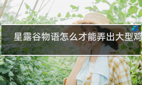 星露谷物语怎么才能弄出大型鸡蛋
