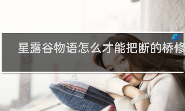 星露谷物语怎么才能把断的桥修好