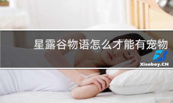 星露谷物语怎么才能有宠物