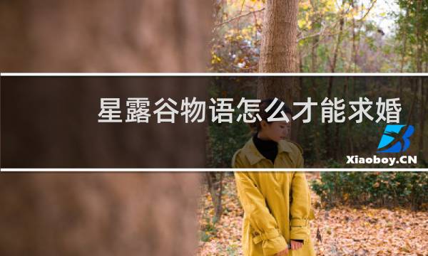 星露谷物语怎么才能求婚