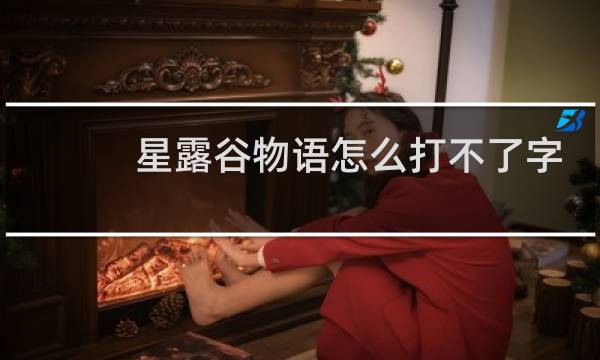 星露谷物语怎么打不了字