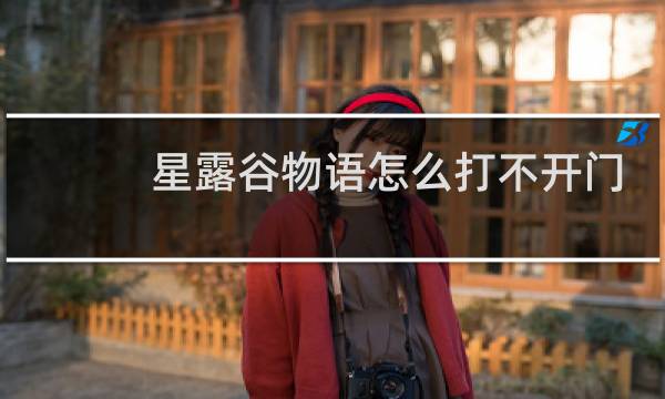 星露谷物语怎么打不开门