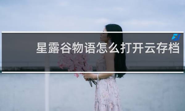 星露谷物语怎么打开云存档