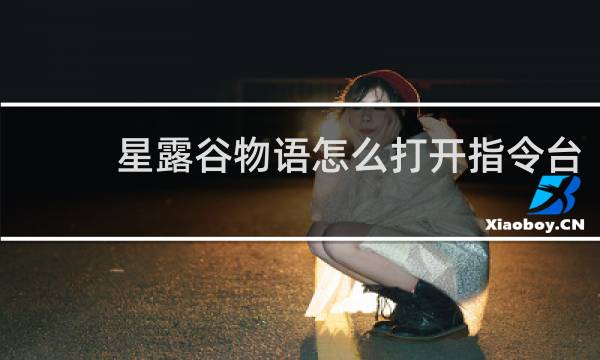 星露谷物语怎么打开指令台