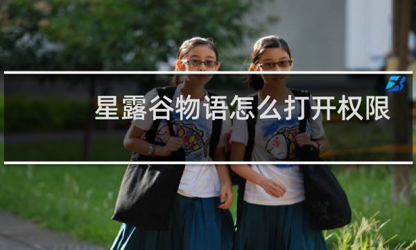 星露谷物语怎么打开权限