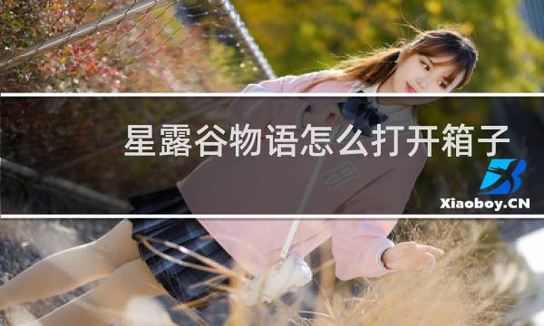 星露谷物语怎么打开箱子