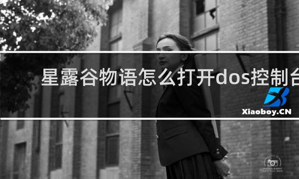 星露谷物语怎么打开dos控制台