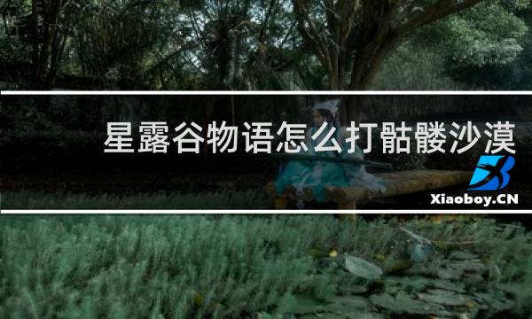 星露谷物语怎么打骷髅沙漠