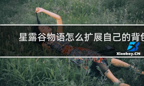 星露谷物语怎么扩展自己的背包