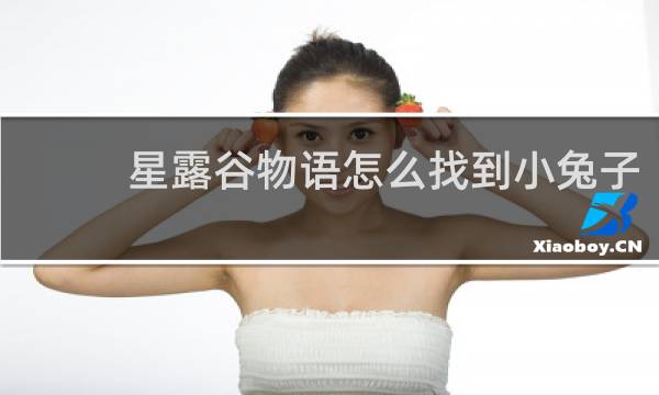 星露谷物语怎么找到小兔子