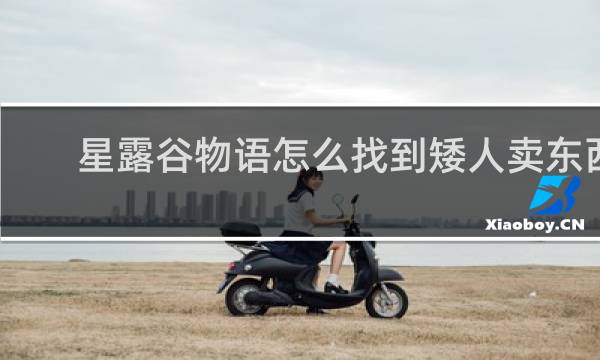 星露谷物语怎么找到矮人卖东西