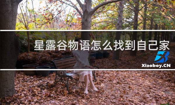 星露谷物语怎么找到自己家