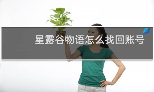 星露谷物语怎么找回账号