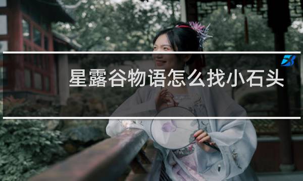 星露谷物语怎么找小石头