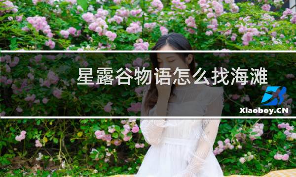 星露谷物语怎么找海滩
