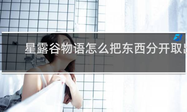 星露谷物语怎么把东西分开取出